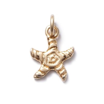 Seestern GoldShiny, Amulett S