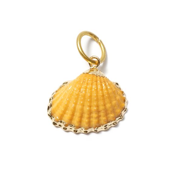 Muschel Orange GoldShiny, Amulett S