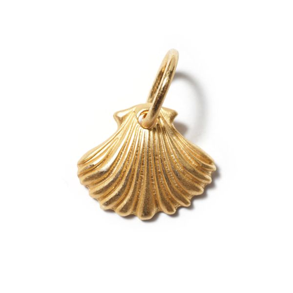 Muschel GoldShiny, Amulett S