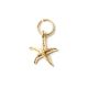 Seestern, vergoldet mit 24K Feingold, Amulett XS