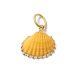Muschel Orange GoldShiny, Amulett S