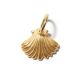 Muschel GoldShiny, Amulett S