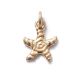 Seestern GoldShiny, Amulett S