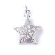 StarLight SilverShiny, Amulett M