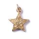 StarLight GoldShiny, Amulett M