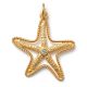 Seestern GoldShiny, Amulett L