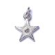 Star SilverShiny, Amulett S
